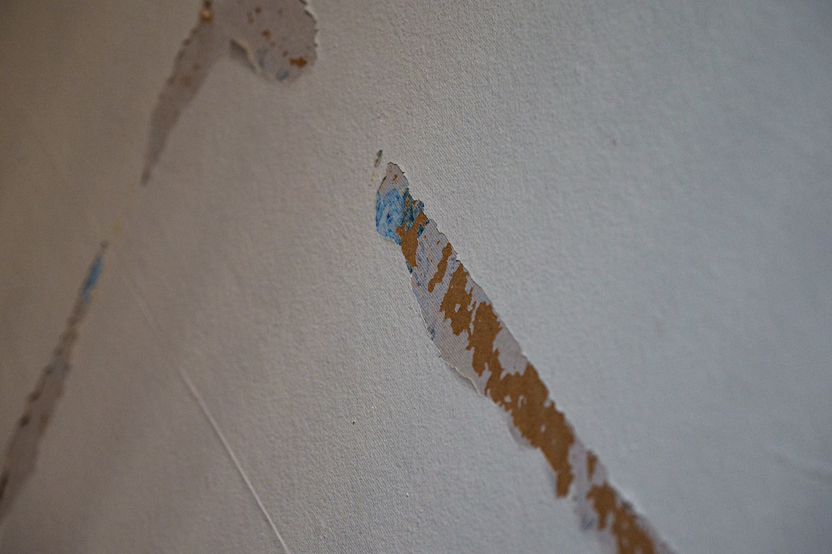 Structural Drying service in South San Francisco, CA